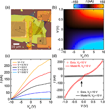 A back-to-back diode model applied to van der Waals Schottky diodes ...