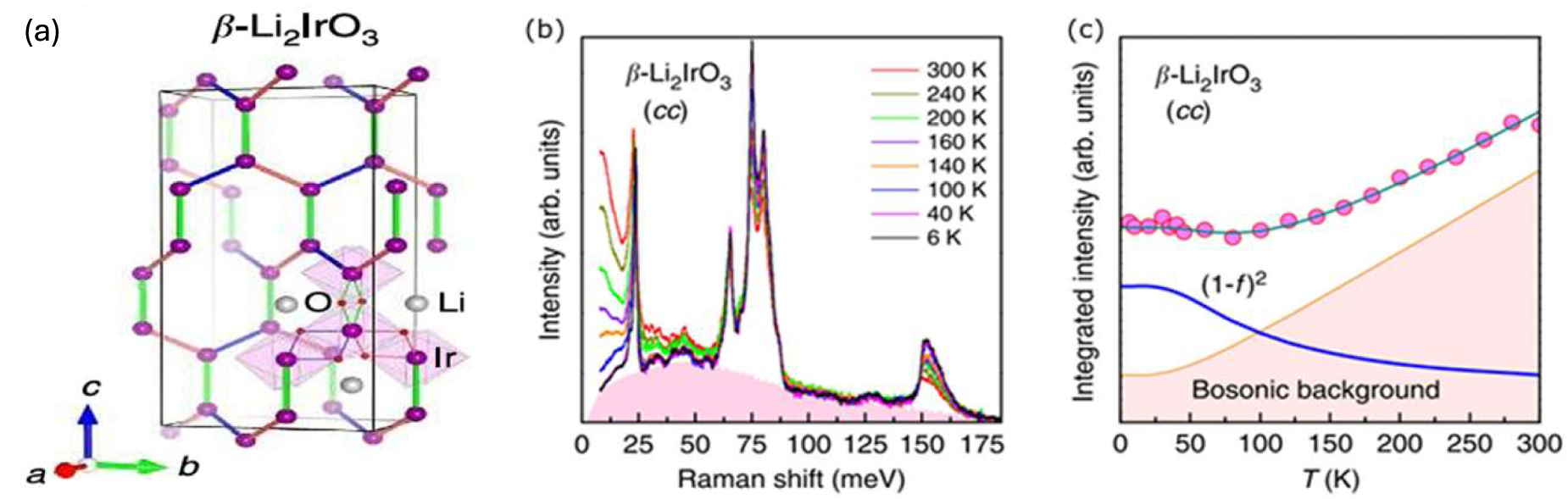 Lattice Raman Potential of Raman scattering in probing magnetic excitations and their ...