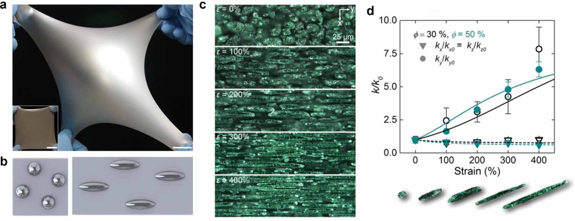 Soft Inclusions Soft composites with liquid inclusions: functional properties and ...