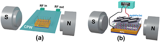 Room temperature spin injection study across semi-crystalline PVDF-HFP ...