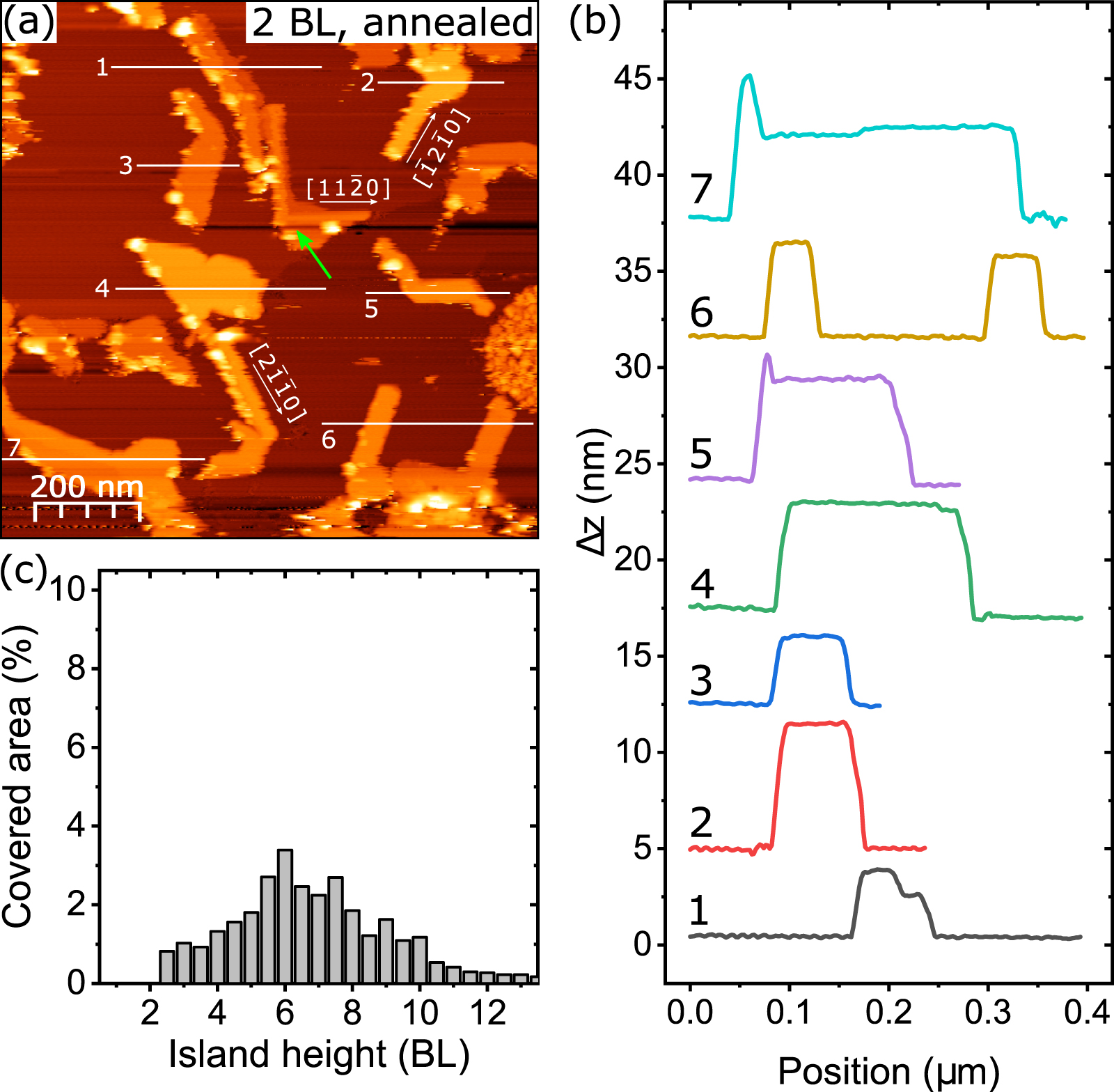 Morphology of Bi(110) quantum islands on epitaxial graphene - IOPscience