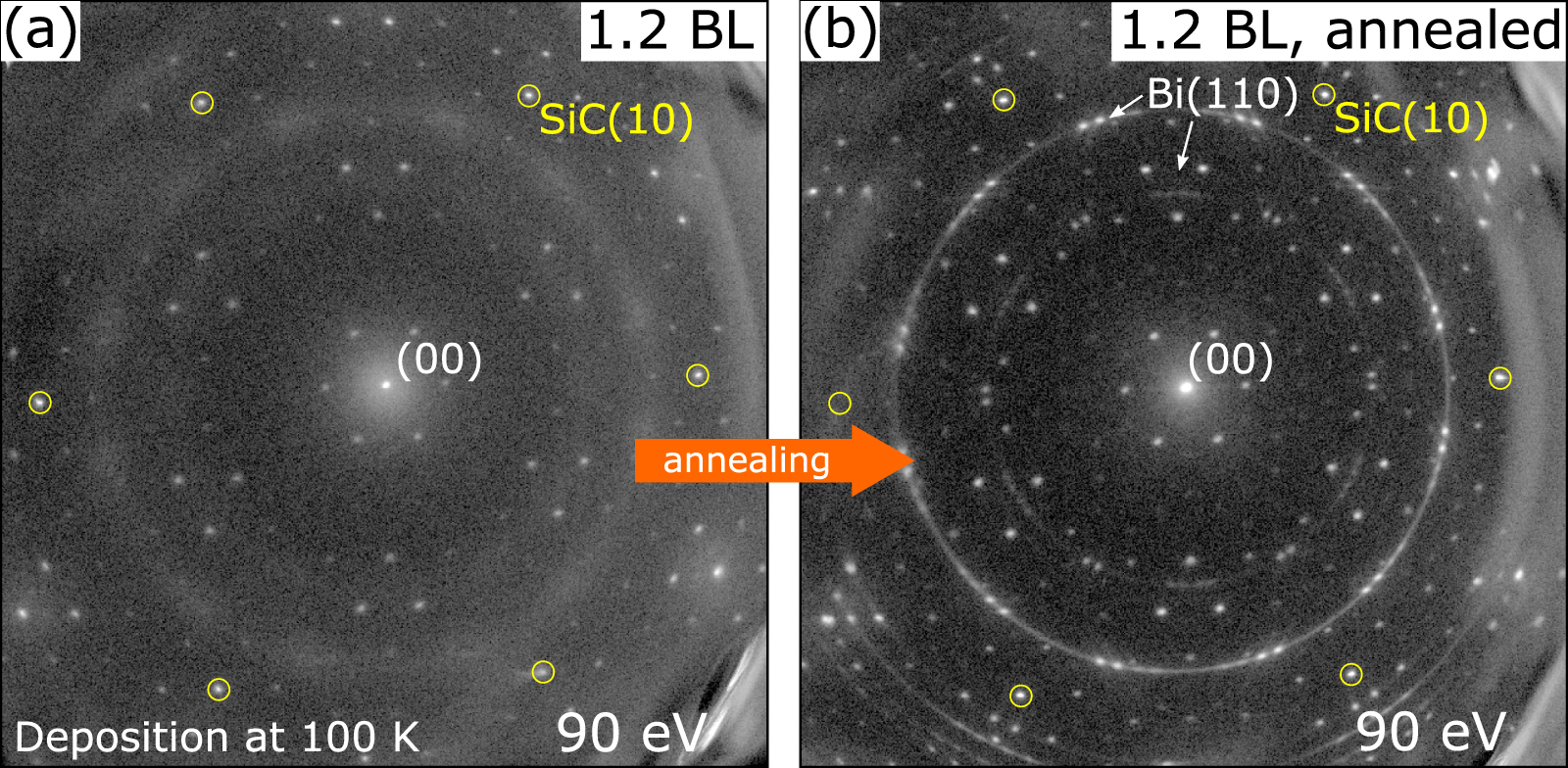 Morphology of Bi(110) quantum islands on epitaxial graphene - IOPscience