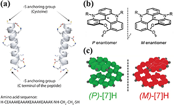 Chirality induced spin selectivity in electron transport investigated ...