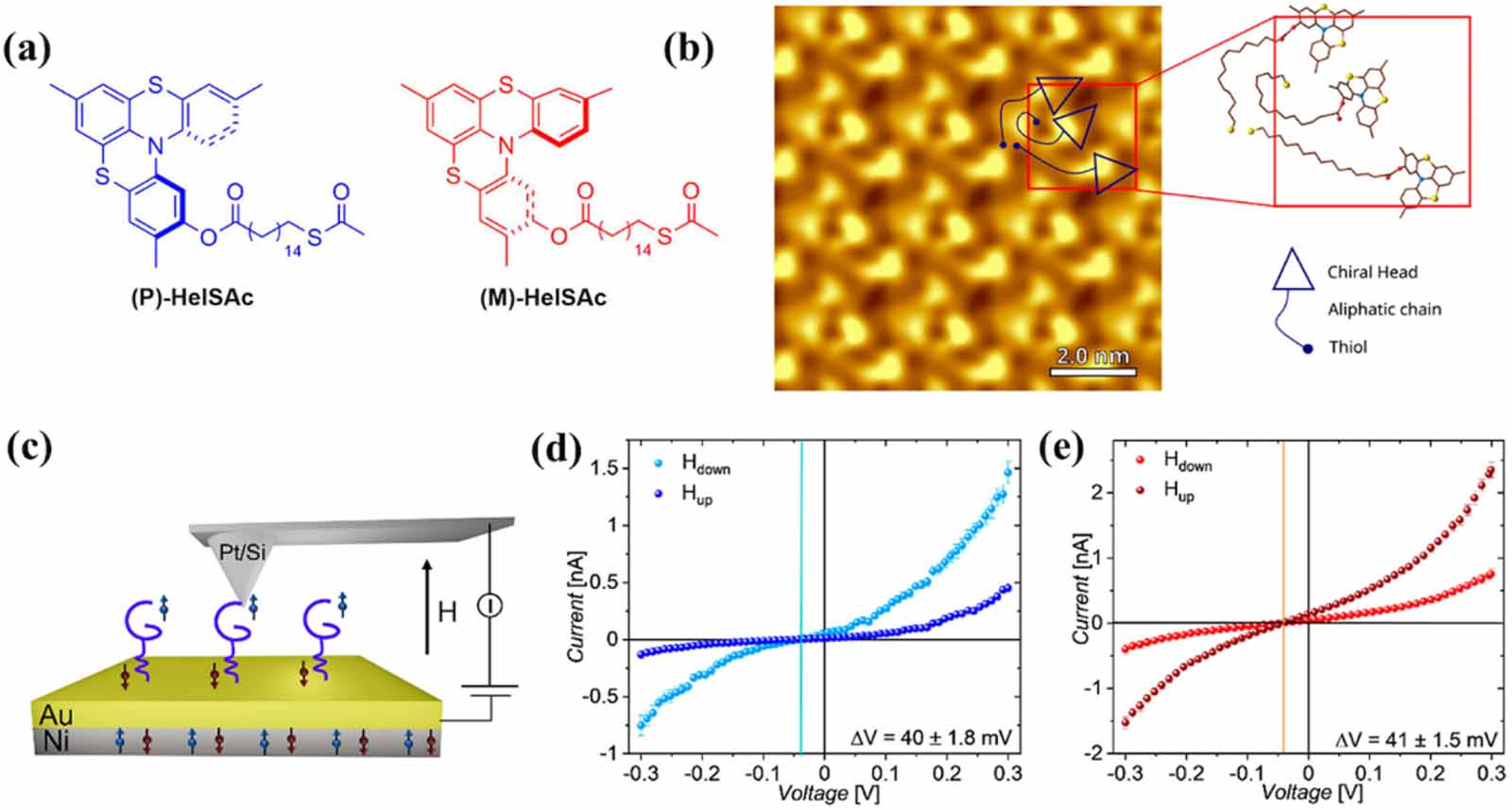 Chirality induced spin selectivity in electron transport investigated ...