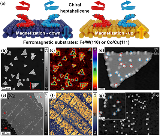 Chirality induced spin selectivity in electron transport investigated ...