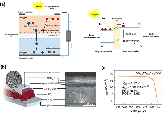Hybrid halide perovskite quantum dots for optoelectronics applications ...