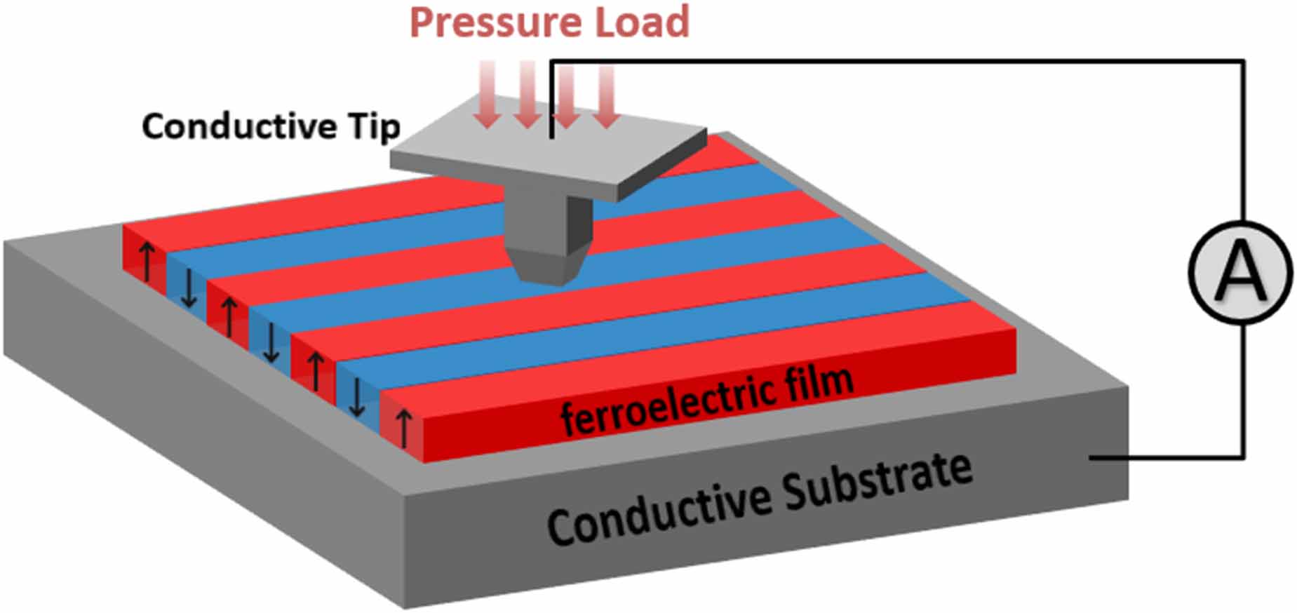 A review of progress in theoretical modeling of polarization dynamics ...