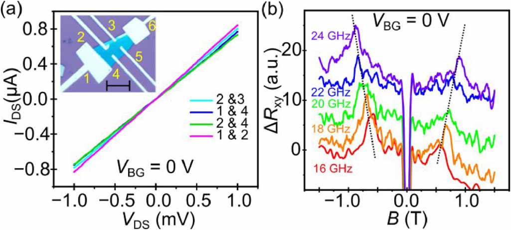Resistively detected electron spin resonance and g-factor in few-layer ...
