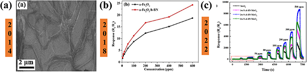 Recent developments on 2D-materials for gas sensing application ...