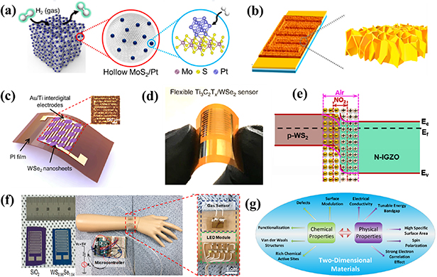 Recent developments on 2D-materials for gas sensing application ...