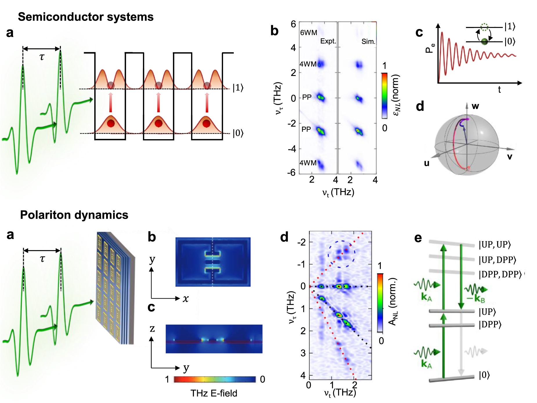 ka Hemodynamic Regulation of Reactive Oxygen Species
