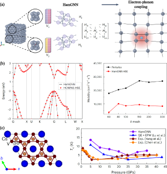 Phonon-limited carrier mobility modeling of two-dimensional ...