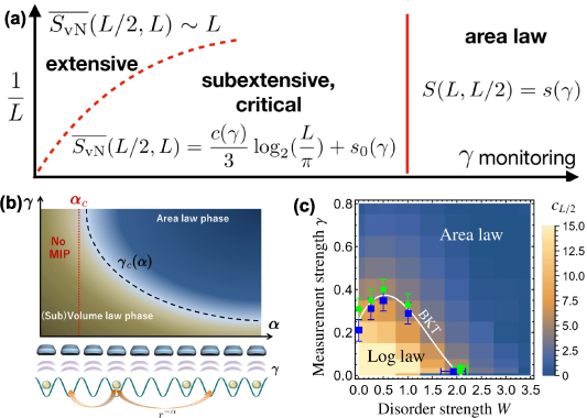 専用ページ セレクト Robustness and measurement-induced percolation of the