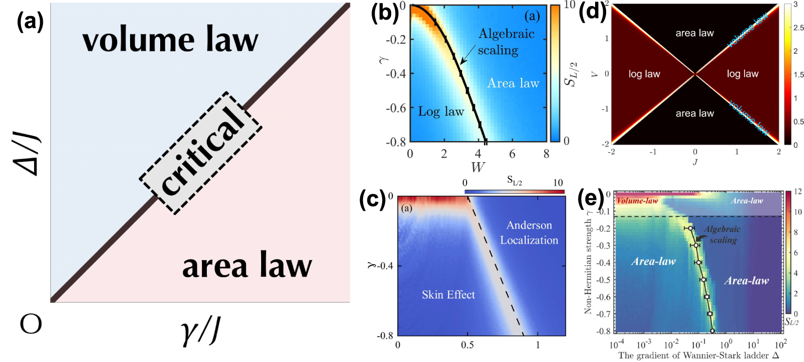 専用ページ セレクト Robustness and measurement-induced percolation of the