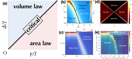 Measurement-induced entanglement phase transition in free fermion ...