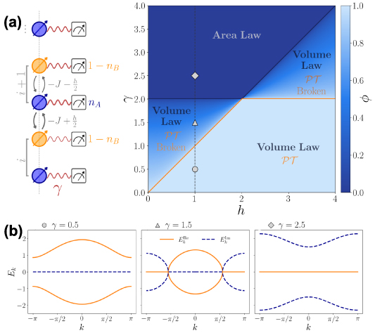 Measurement-induced entanglement phase transition in free fermion ...