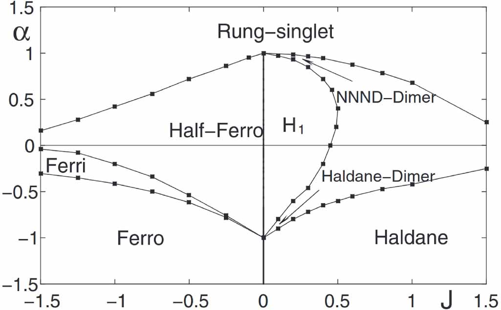 Exploring quantum phases in frustrated spin- chain and ladders: a ...