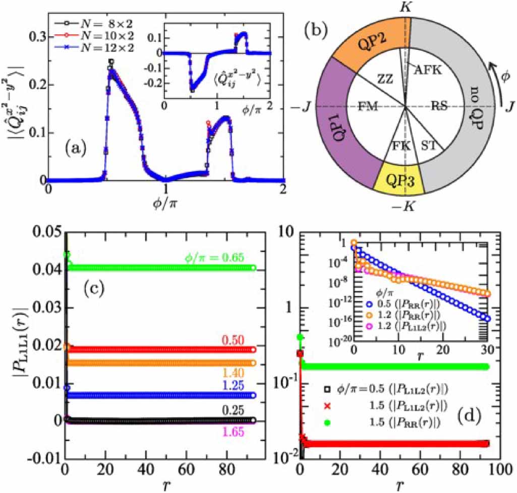 Exploring quantum phases in frustrated spin- chain and ladders: a ...