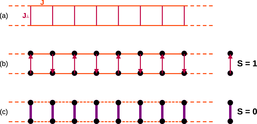 Exploring quantum phases in frustrated spin- chain and ladders: a ...