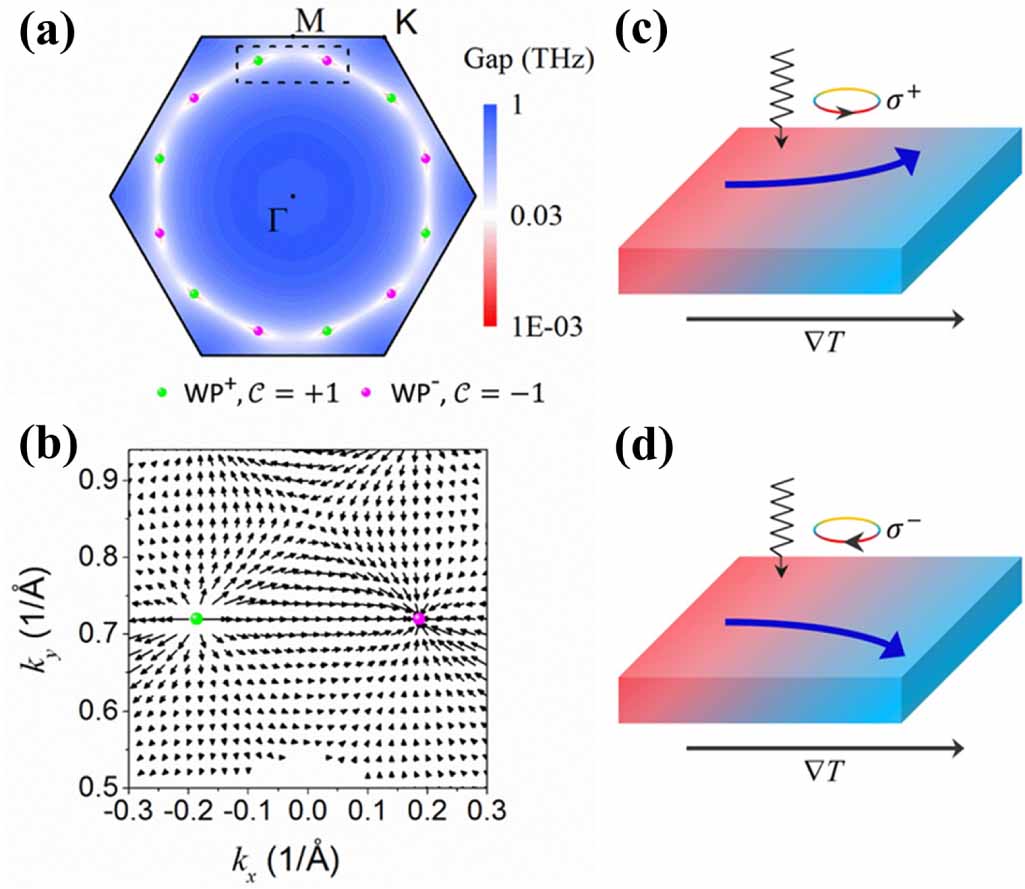 Weyl phonons in condensed matter: a first-principles perspective ...
