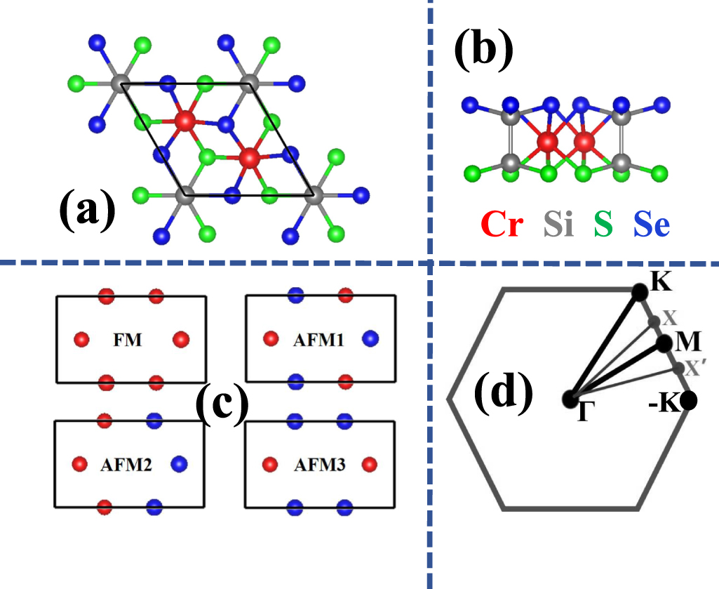 Strain-induced altermagnetism to ferromagnetism transition in monolayer ...