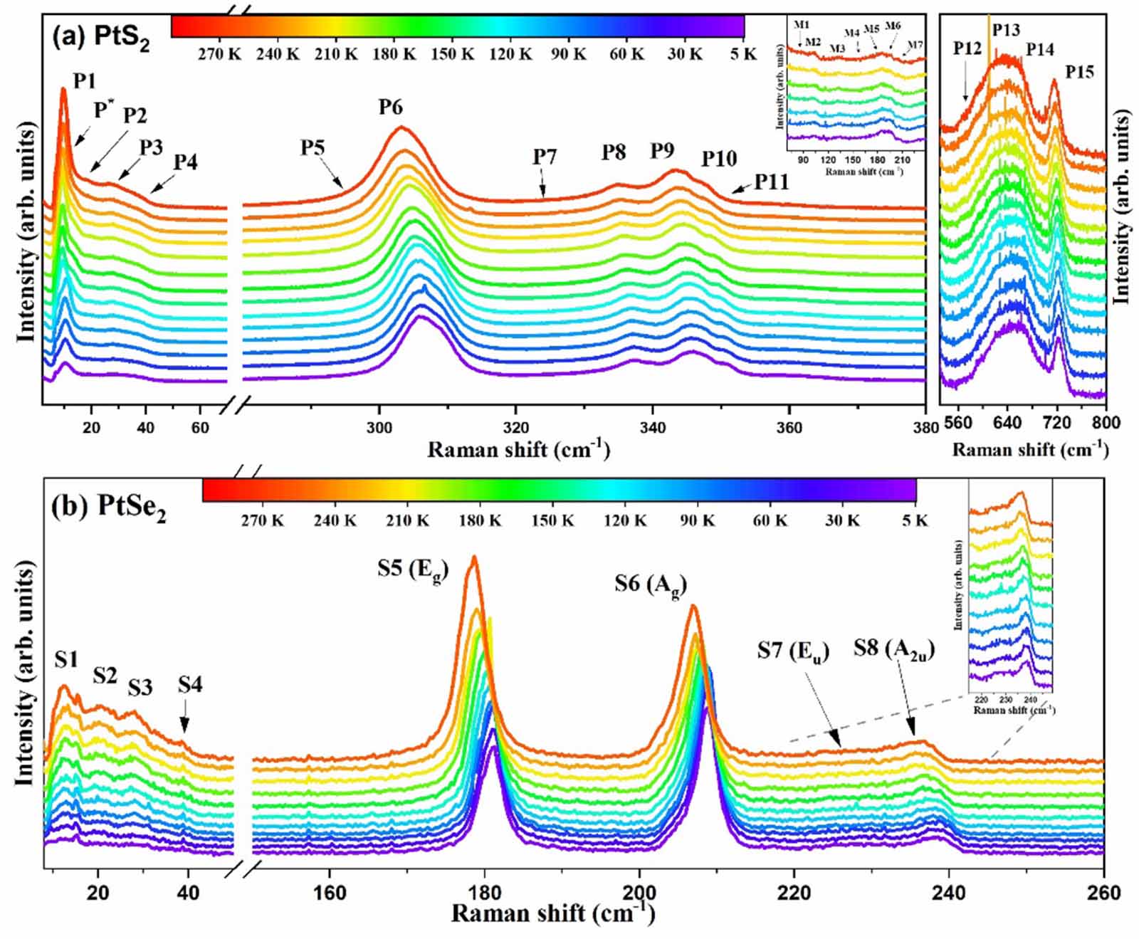 Phonon anomalies, anharmonicity, and thermal expansion coefficient in ...