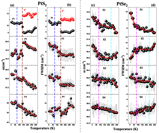 Phonon anomalies, anharmonicity, and thermal expansion coefficient in ...