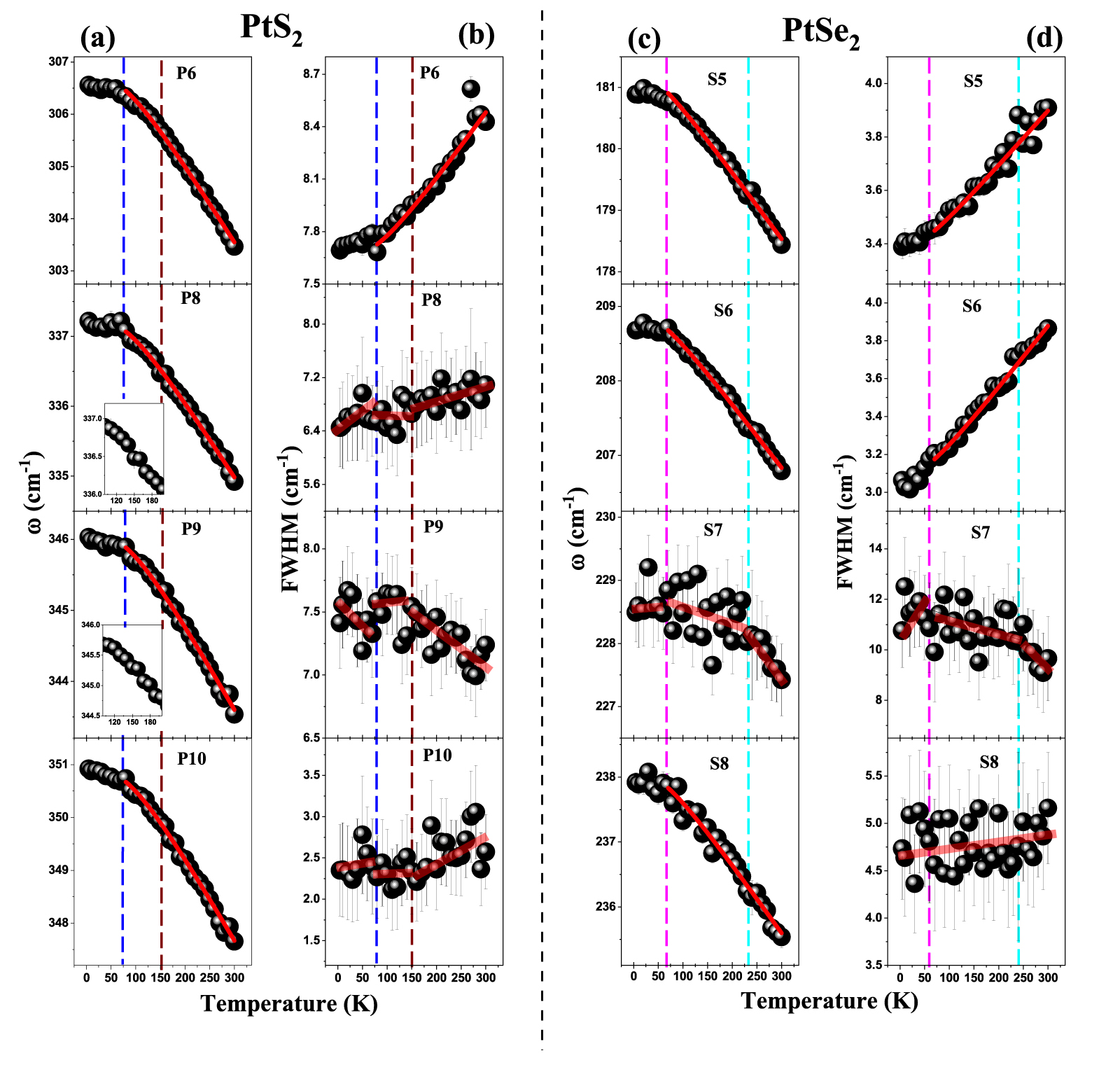 Phonon anomalies, anharmonicity, and thermal expansion coefficient in ...
