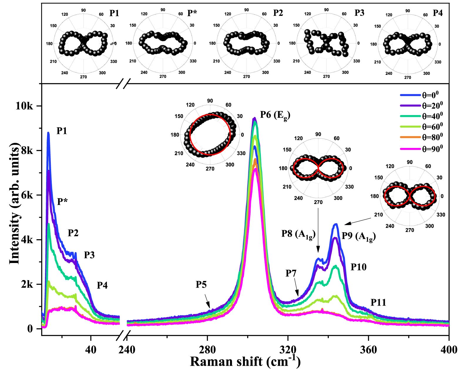 Phonon anomalies, anharmonicity, and thermal expansion coefficient in ...
