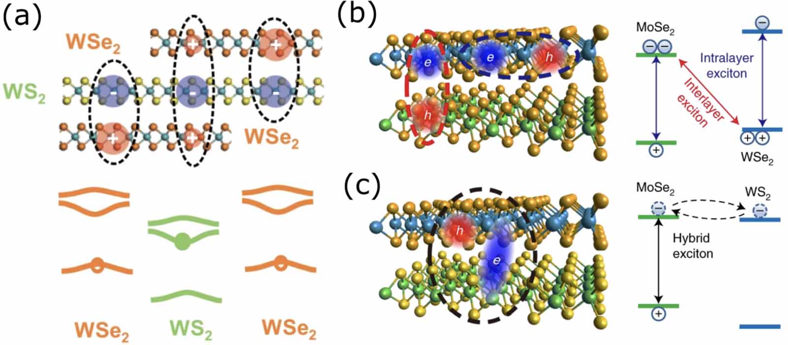 Moir excitons and excitonpolaritons: a review - IOPscience