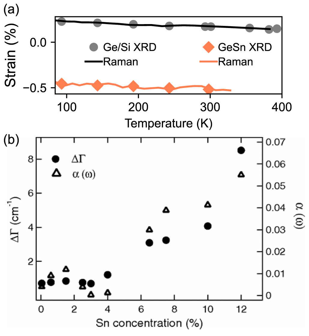 Shedding light on epitaxial SiGeSn alloys with Raman spectroscopy