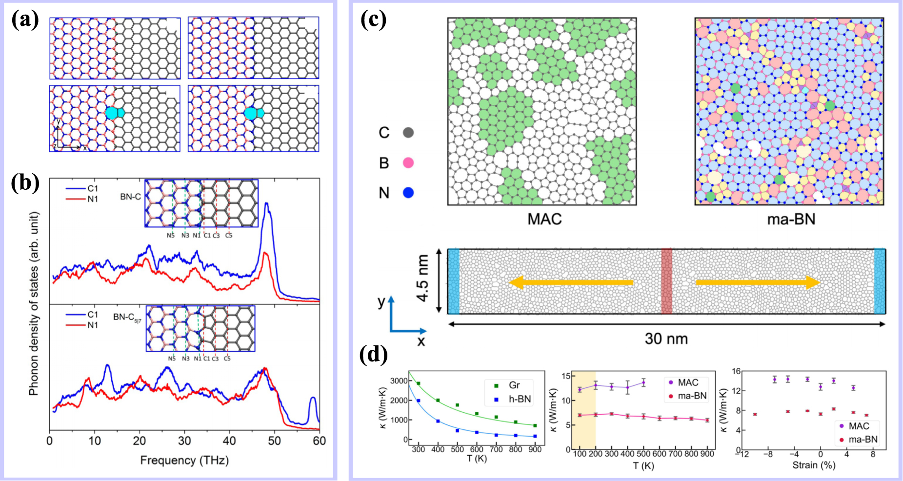 Interface phonon transport in nanomaterials: numerical