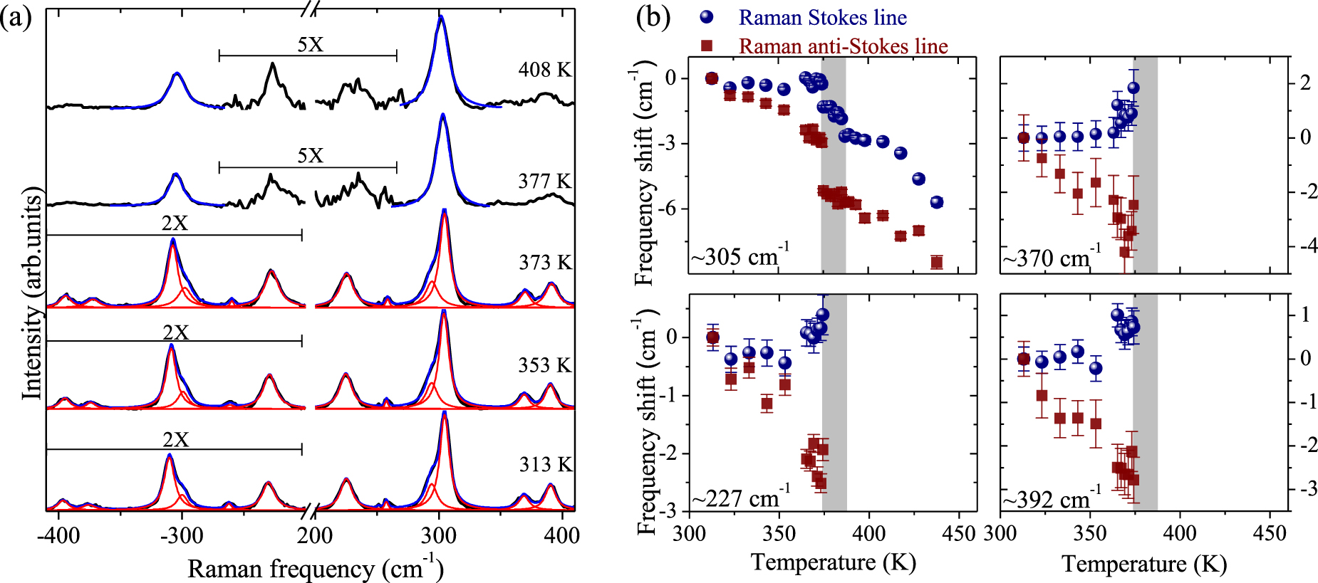 Distinct spectral line shifts in the Raman lines’ Stokes and anti ...