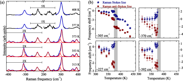 Distinct spectral line shifts in the Raman lines’ Stokes and anti ...