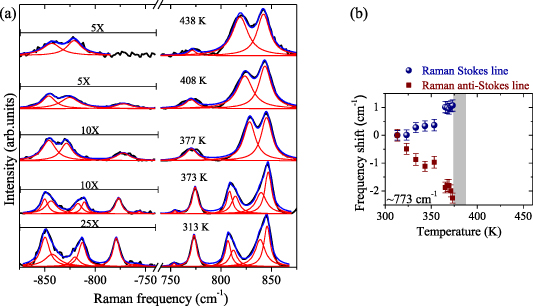 Distinct spectral line shifts in the Raman lines’ Stokes and anti ...