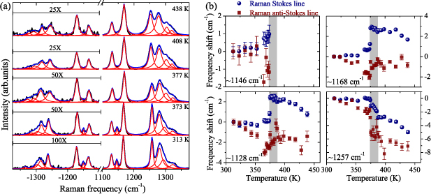 Distinct spectral line shifts in the Raman lines’ Stokes and anti ...