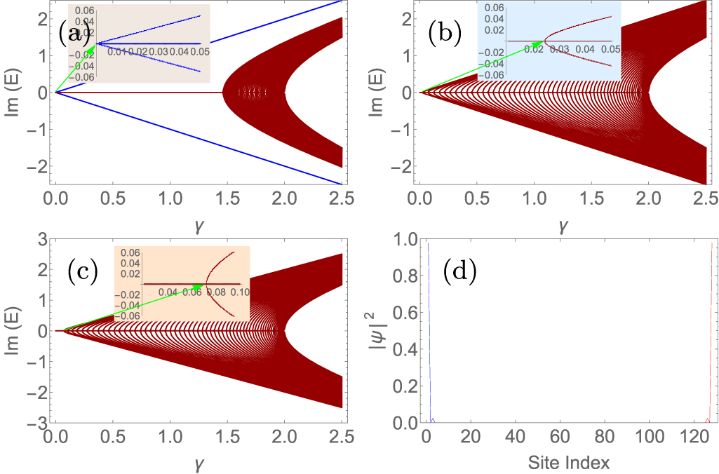 Topology and symmetry in a non-Hermitian Su–Schrieffer–Heeger chain ...