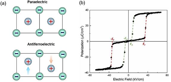 Computational modeling of antiferroelectrics: fundamental