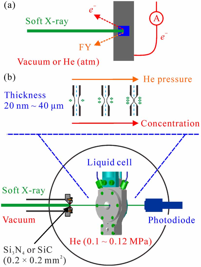 ユーザー Probing electronic structures of metal complexes from the ligand