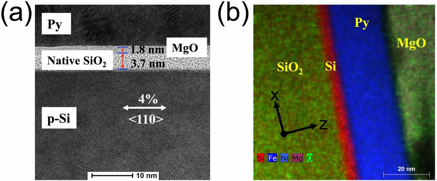 Interlayer charge transfer from contact electrification in conducting ...