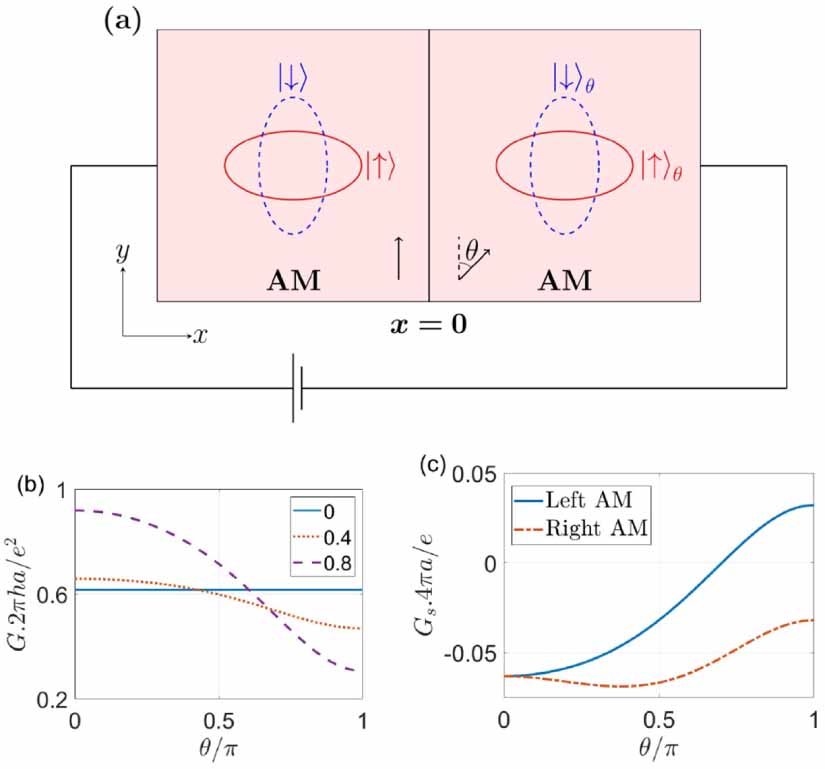 Néel vector controlled charge and spin transport in altermagnetic ...