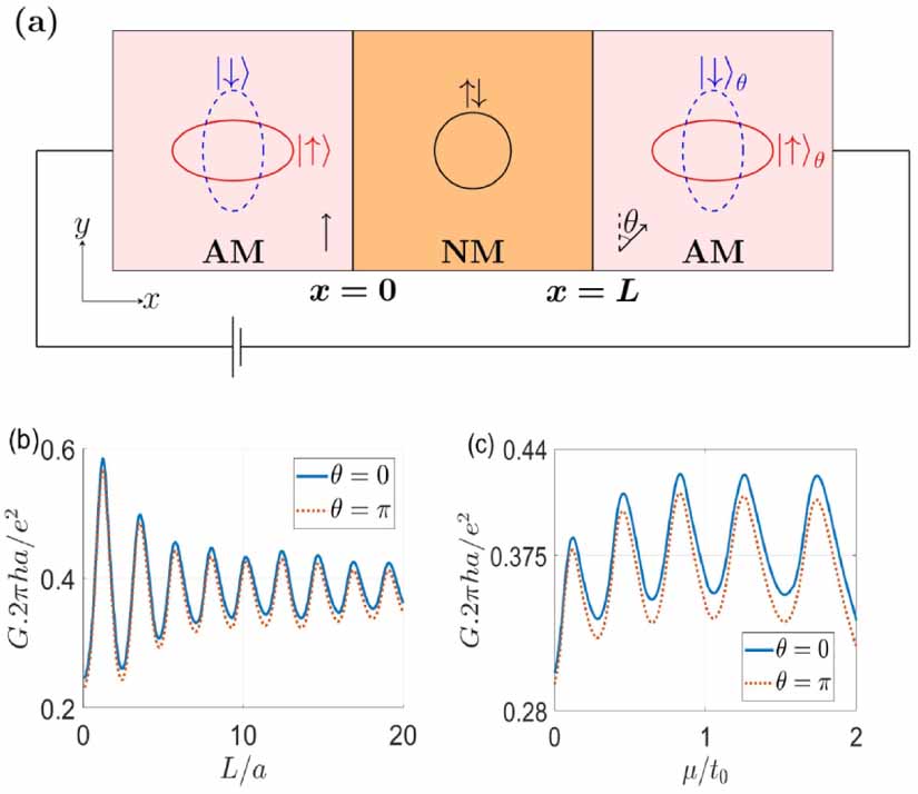 Néel vector controlled charge and spin transport in altermagnetic ...