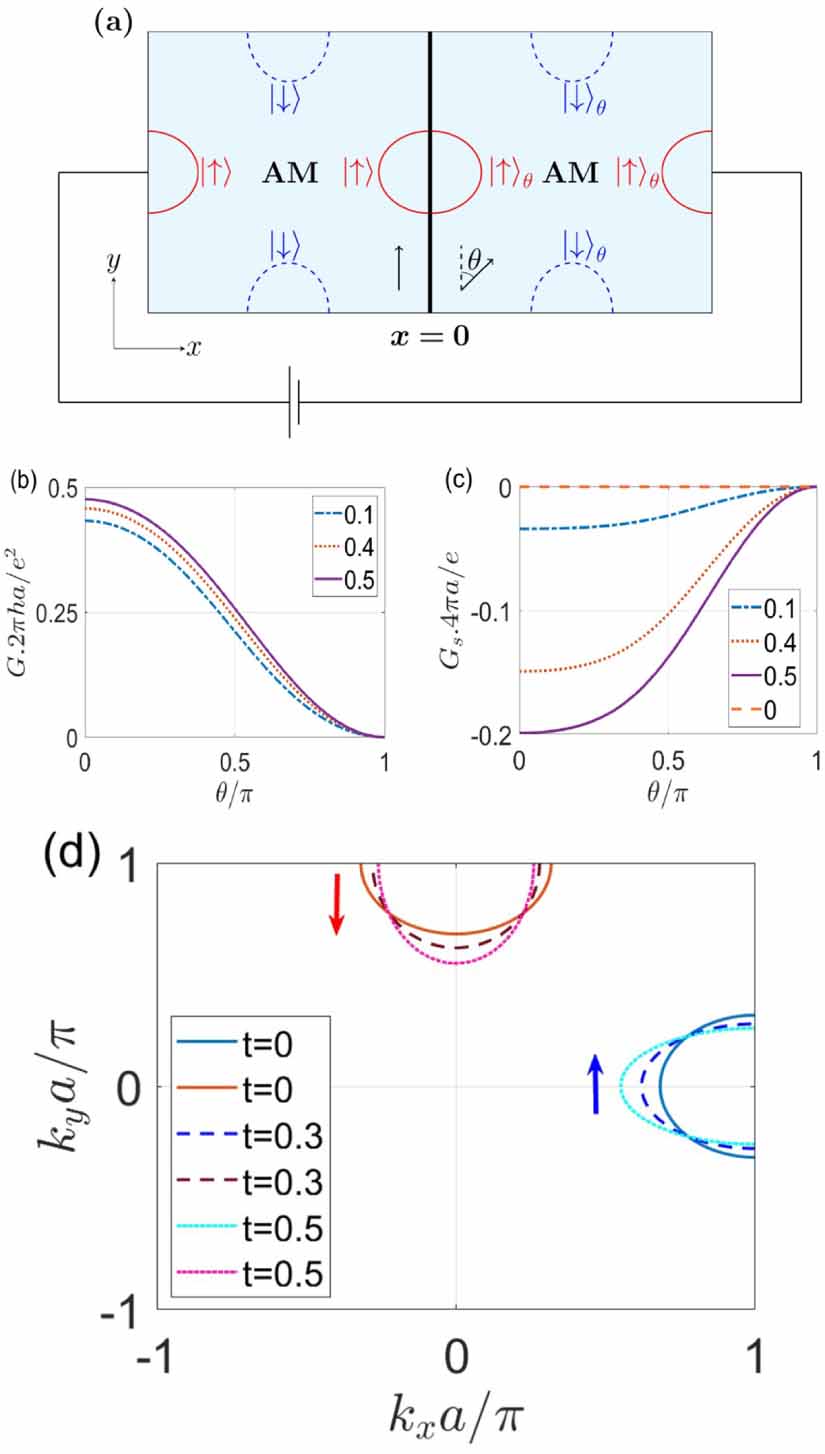 Néel vector controlled charge and spin transport in altermagnetic ...