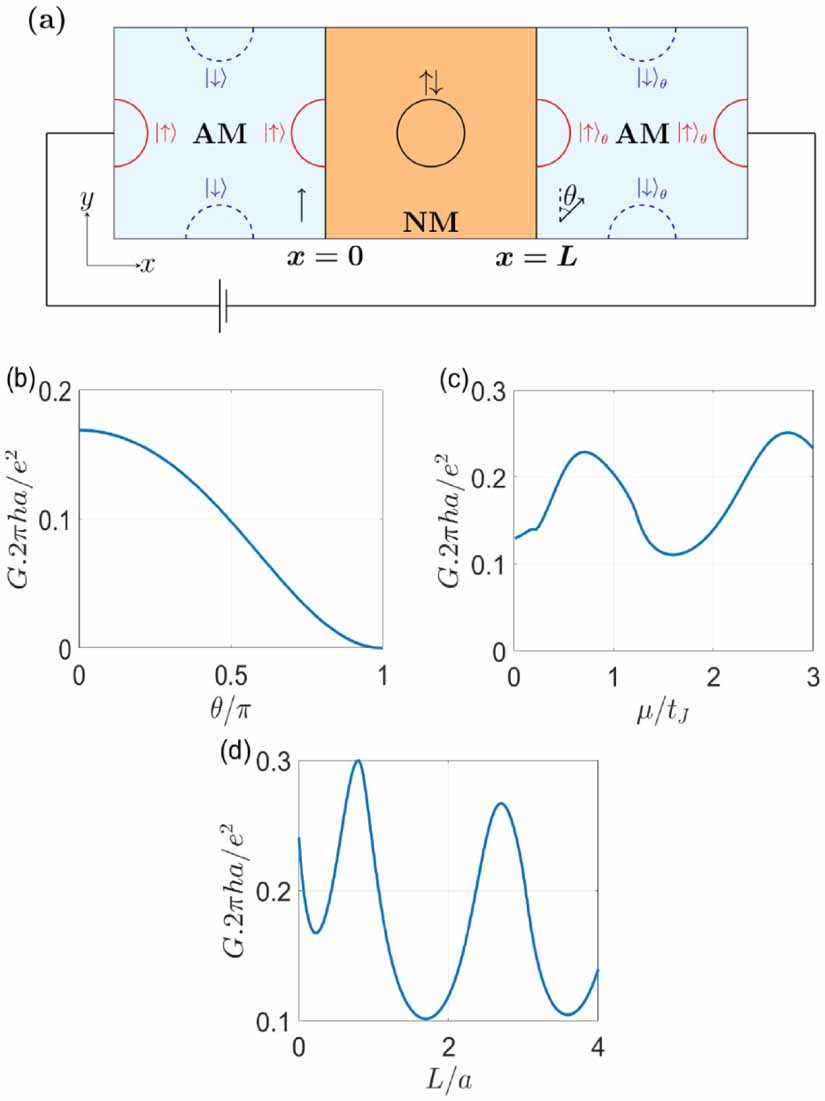 Néel vector controlled charge and spin transport in altermagnetic ...