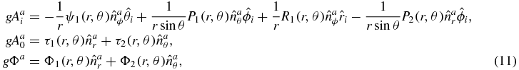 Equation (11)