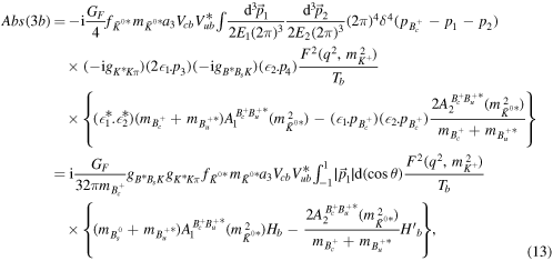 Equation (13)