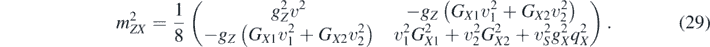 Equation (29)