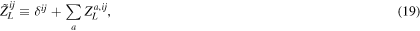 Equation (19)