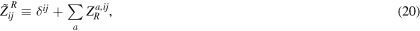 Equation (20)