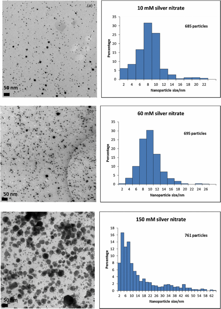 Growth and surface-enhanced Raman scattering of Ag nanoparticle ...
